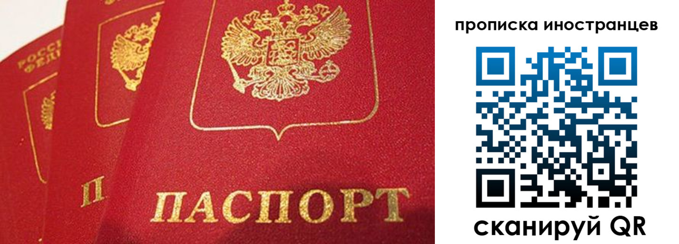 прописка поиск в Сураже